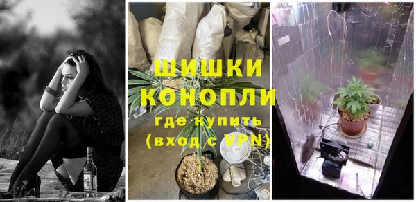 ПСИЛОЦИБИНОВЫЕ ГРИБЫ Богданович